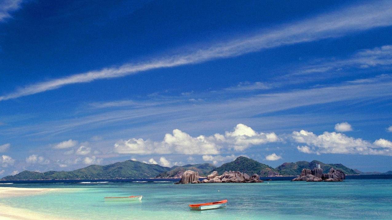 网红商城